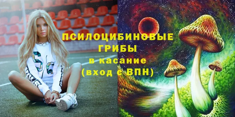 Галлюциногенные грибы MAGIC MUSHROOMS  Зуевка 