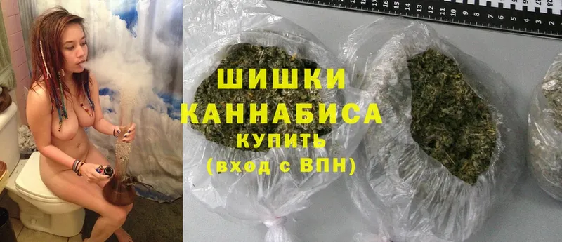 купить закладку  Зуевка  Бошки марихуана Amnesia 